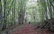 02 Nel bosco...